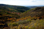 Fall in the Steen Mountains...