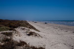 Padre Island - 170 km Strand vom Feinsten