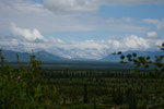 ....die Alaska Range....