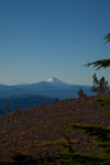 Mt. Jefferson