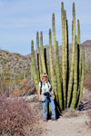 Organ Pipe Cactus