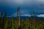 Gewitter und Regenbogen