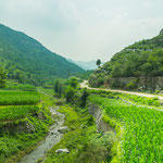 ...Natur pur und überall Terrassenfelder mit Mais....