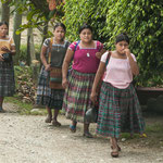 ....im Gänsemarsch auf dem Weg ins Dorf....