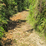 ....der Weg war extrem steil und eher wie ein Bachbett.....