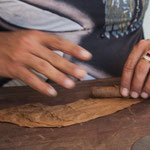 .....der Meister beim Rollen der Zigarre....