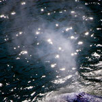 .... Gewaltige Luftfontänen - im Kajak wurden wir davon sogar nass....