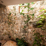 ....hier eine tolle Dusche teilweise im Freien....