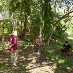 Hier beginnt die Farm von Eladio Pop - "ein etwas kultivierter Urwald"....