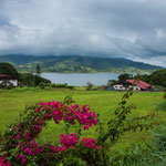 ....Wiesen und Blumen gepflegt wie man es von Schweizern gewohnt ist....