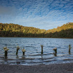 ....Blumen für verstorbene Maya Seelen.....