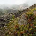 ....wir sind auf dem Vulkan angekommen....