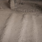 ....ein Maisfeld und der Dreschplatz....