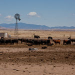 Strecke zum "Catwalk Scenic Trail"...