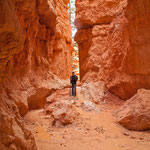 Die Wanderung ist immer spannend