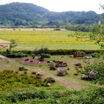 Farmen am "Coquille River"