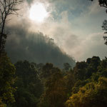 Die Stimmung wenn Nebel aufzieht....