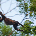 .....das mach ich doch locker mit einem 5 m Sprung.....