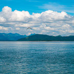 ....und beliebt für alle möglichen Wassersportarten.....