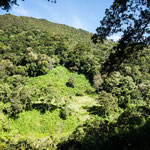 ....hat eigenen Kaffeeanbau in den Bergen.....