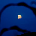 ......view at the full moon out from our camper.