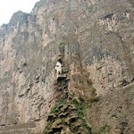 Dieser "Weihnachtsbaum" wird vom einem Wasserfall geschaffen