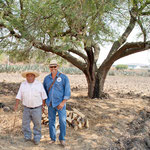 Der "pulque" - Meister links und Arturo