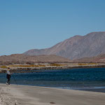 Bei Ebbe kann man viele kilometerweit am Strand laufen