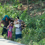 .....hier wird Brennholz heimgetragen.....