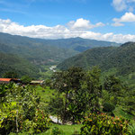 ....und hier ins Orosital....