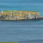 ...die Farben Irlands verblüffen immer wieder...
