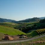 Eine Landschaft wie im Allgäu - aber mit Weinbergen