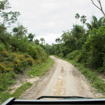 ....auch hier viel Wild....