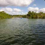 ...hier der Eingang in den Dschungelfluss....