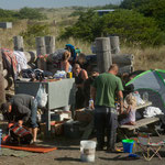 unsere chaotischen Nachbarn beim "Suchen"....