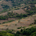 ....und die terassierten Minifelder.....