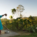 ....und der Wind bläst die Spreu vom Korn