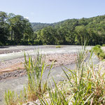 ....hier der große und schnelle Rio Pejibaye.....