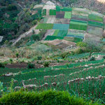 ....tolle "patch-work" Felder....