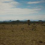 ....hier ein Savannengebiet.....