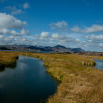 Der Colorado beim Lake Havasu in Arizona