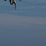 ...... dreht pfeilschnell nach unten .....