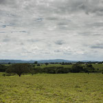 ....das hier ist Mennoniten Gebiet - aber von der modernen Sorte