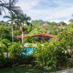 ....eine tropische Anlage....