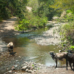 Auf unserer Weiterfahrt ging es auch durch Flüsse
