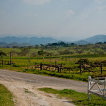 Eine Aussicht die sehr an das Allgäu erinnert