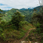 ....dieser Pfad führt auf den höchsten Berg von Costa Rica......
