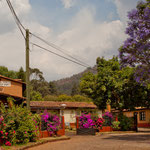 Villa Patzcuaro - eine wahre Pracht