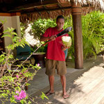 dieser "Künstler" hält mit einer Hand die Kokosnuss und schlägt sie mit der anderen auf