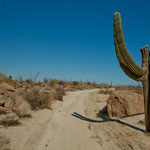 .....und endeten in einer Sackgasse (Bergbau-Camp)